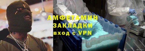 сатива Бородино