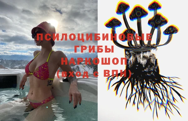 сатива Бородино