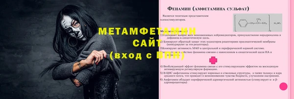 сатива Бородино