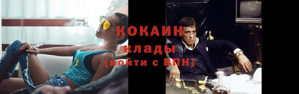 сатива Бородино