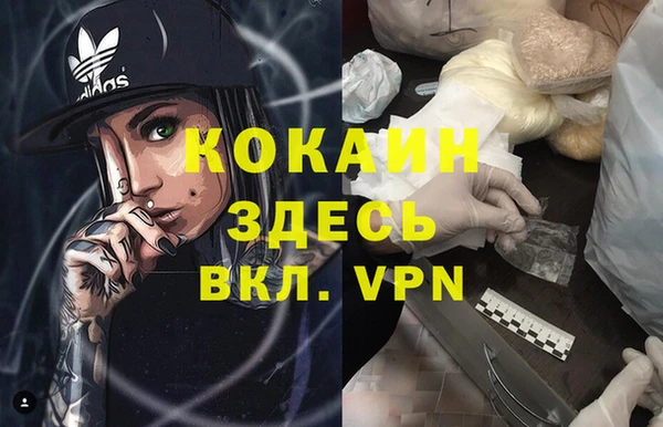 сатива Бородино