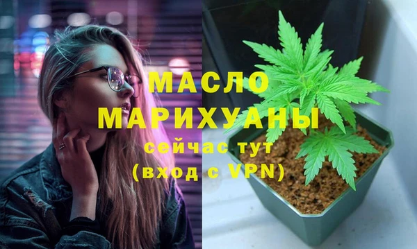 сатива Бородино