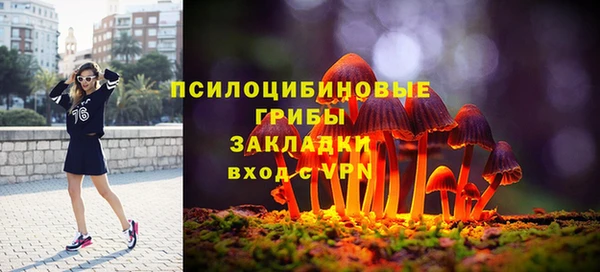 эйфоретик Бронницы