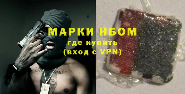 сатива Бородино