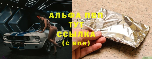 сатива Бородино