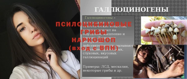 сатива Бородино