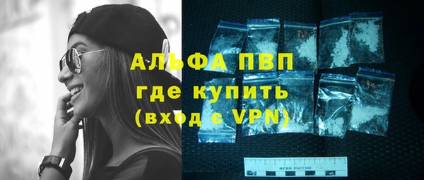 сатива Бородино