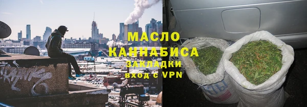 сатива Бородино
