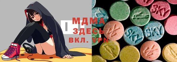 сатива Бородино