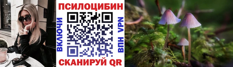 Псилоцибиновые грибы мухоморы  Купить закладки  Вихоревка 