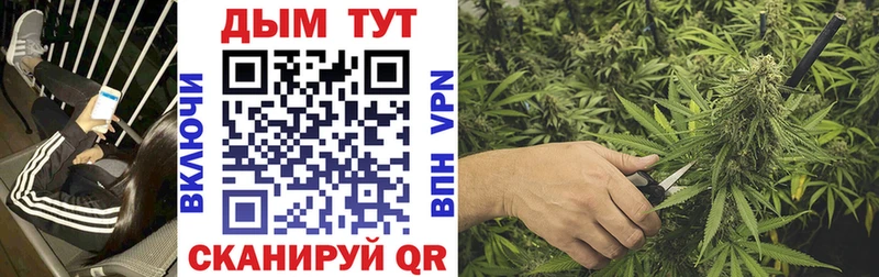 Каннабис планчик  Купить где  Вихоревка 